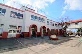 幼稚園・保育園　南柏幼稚園（幼稚園・保育園）まで173m