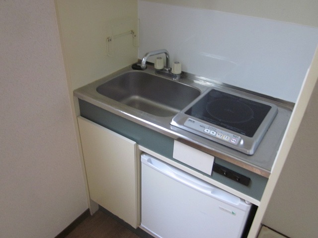 ロータスマンションのキッチン写真