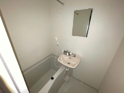 レオネクストパークハイツ Bの風呂写真