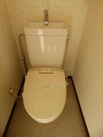 トイレ　写真は別号室です。