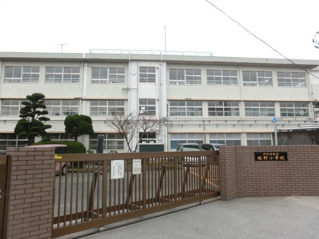 小学校　塔野小学校（小学校）まで400m
