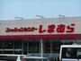 その他　しまむら野中店（その他）まで300m