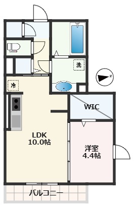 ドミール京町の間取り