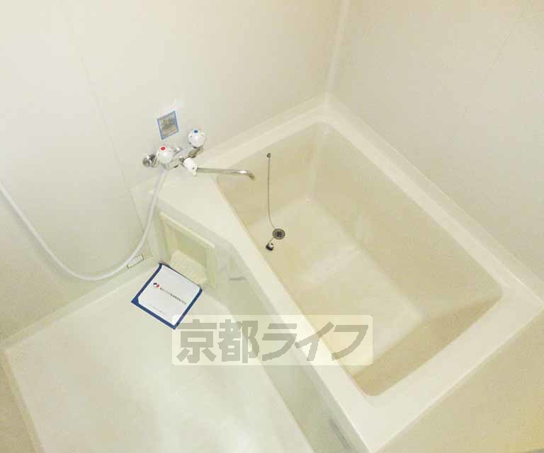 バス・シャワールーム　ちょうど良い大きさ