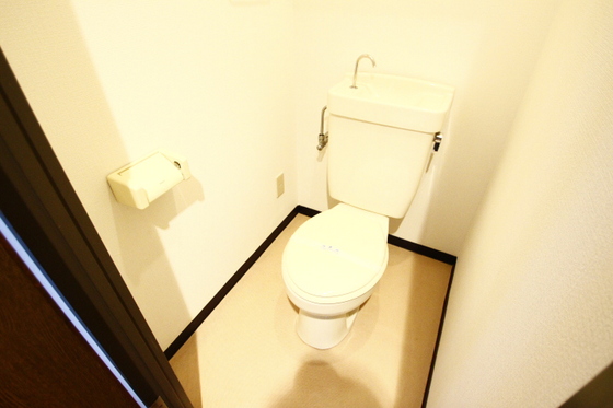 トイレ　他号室の写真です。