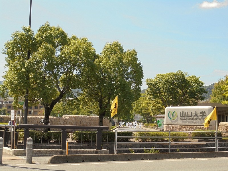 大学・短大　国立山口大学（大学・短大）まで574m