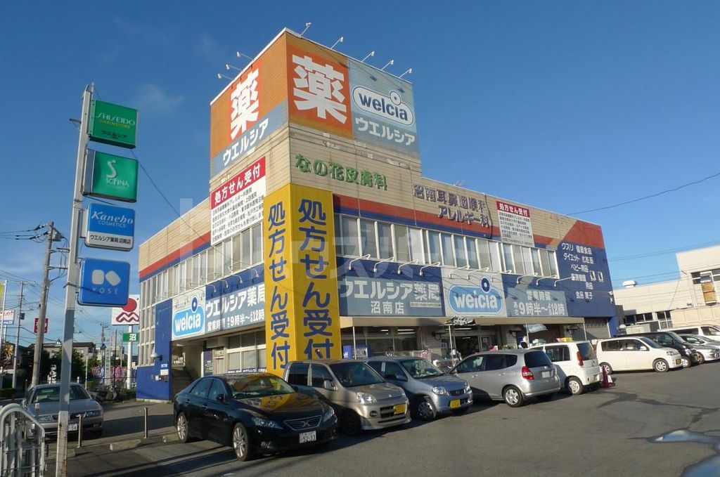 ドラックストア　ウエルシア沼南店（ドラッグストア）まで1770m