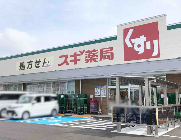 ドラックストア　スギドラッグ 有松店（ドラッグストア）まで527m