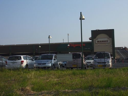 スーパー　Ｓｈｉｇｅｎｏｙａ五井店（スーパー）まで535m