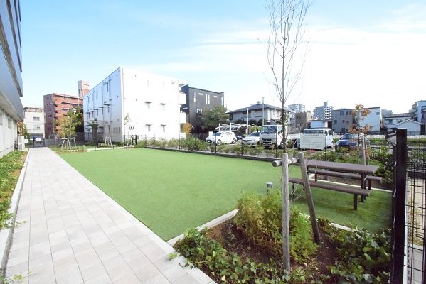 眺望　ドッグラン