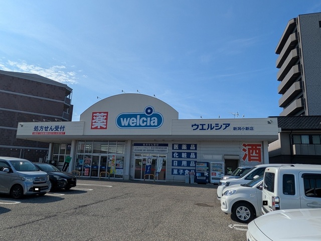 ドラックストア　ウエルシア薬局新潟小新店（ドラッグストア）まで843m