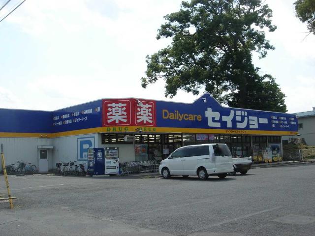 その他　デイリーケアセイジョー大宮七里店（その他）まで296m