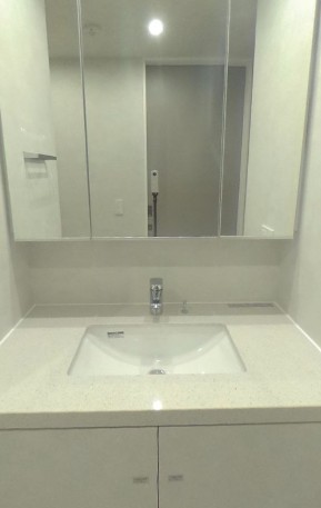 洗面設備　他部屋参考写真