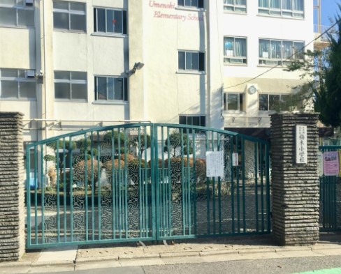 小学校　北区立梅木小学校（小学校）まで559m