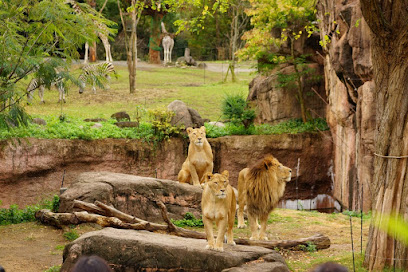 その他　天王寺動物園（その他）まで443m