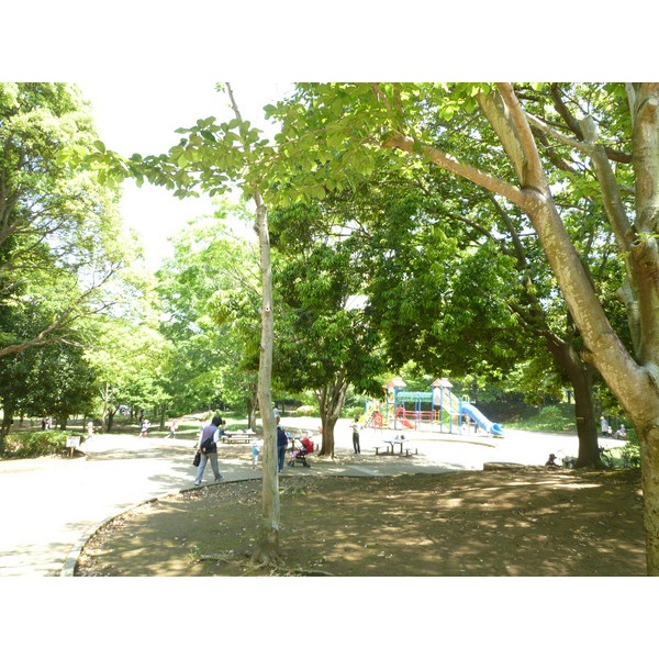 公園　美しが丘近隣公園（公園）まで401m
