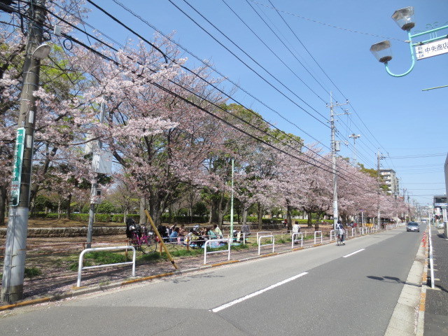 その他　新松戸中央公園（その他）まで613m