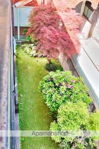 眺望　眺望