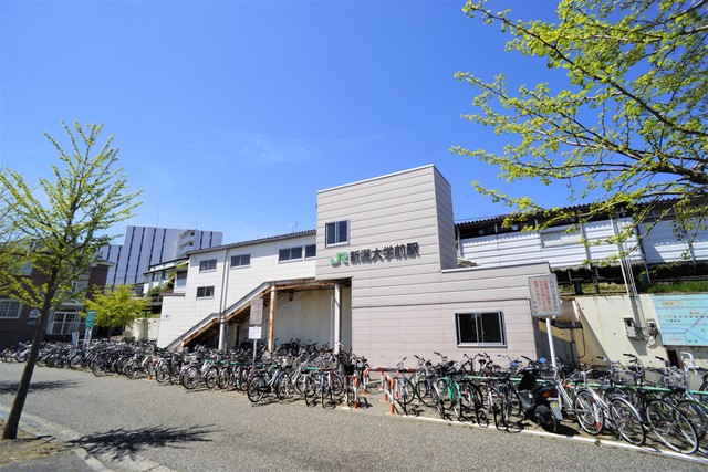 大学・短大　新潟大学前駅(JR 越後線)（大学・短大）まで908m