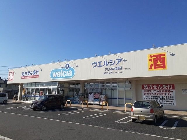 ドラックストア　ウエルシア堂端店（ドラッグストア）まで880m