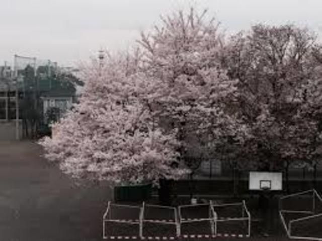 中学校　小平市立上水中学校（中学校）まで526m
