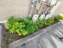その他　植栽