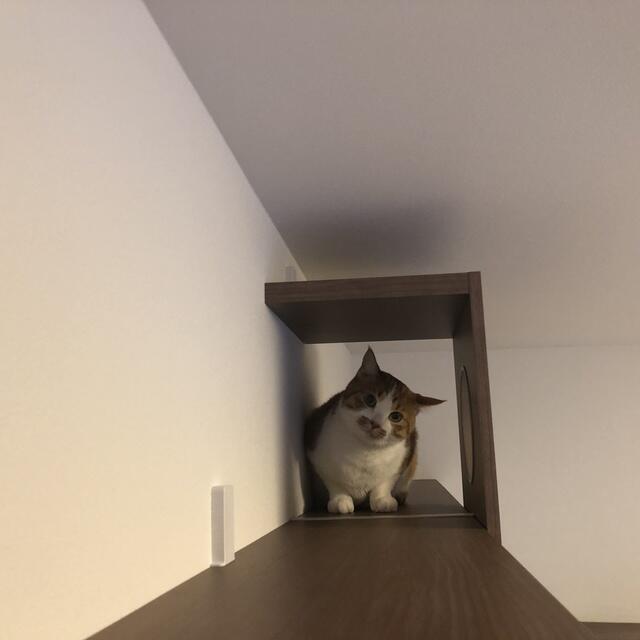 その他　※写真は同タイプ住戸です。