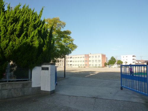 小学校　天白小学校（小学校）まで353m