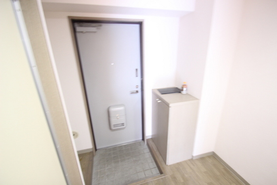 玄関　※別部屋の写真です
