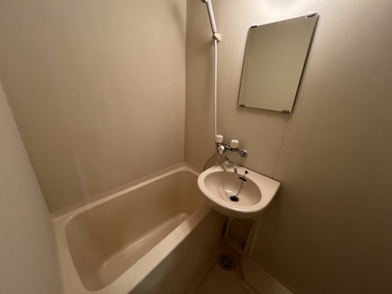 バス・シャワールーム　※別部屋の写真です