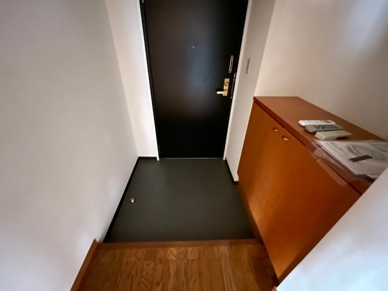 玄関　※別部屋の写真です
