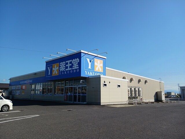 ドラックストア　薬王堂（ドラッグストア）まで1128m