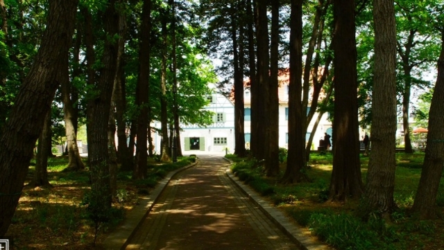 公園　グリムの森（公園）まで2267m