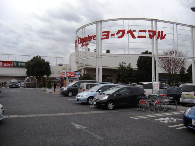 スーパー　ヨークベニマル石橋店（スーパー）まで919m