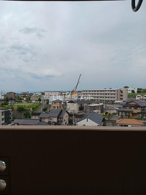 セレストのその他写真
