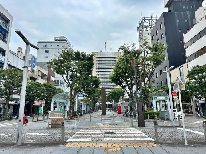 その他　青葉通り（その他）まで500m
