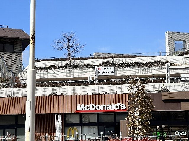 飲食店　マクドナルド イオンモール北大路店（飲食店）まで775m
