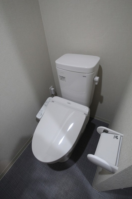 トイレ　同物件、別号室のものです。