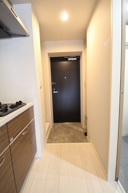 玄関　同物件、別号室のものです。