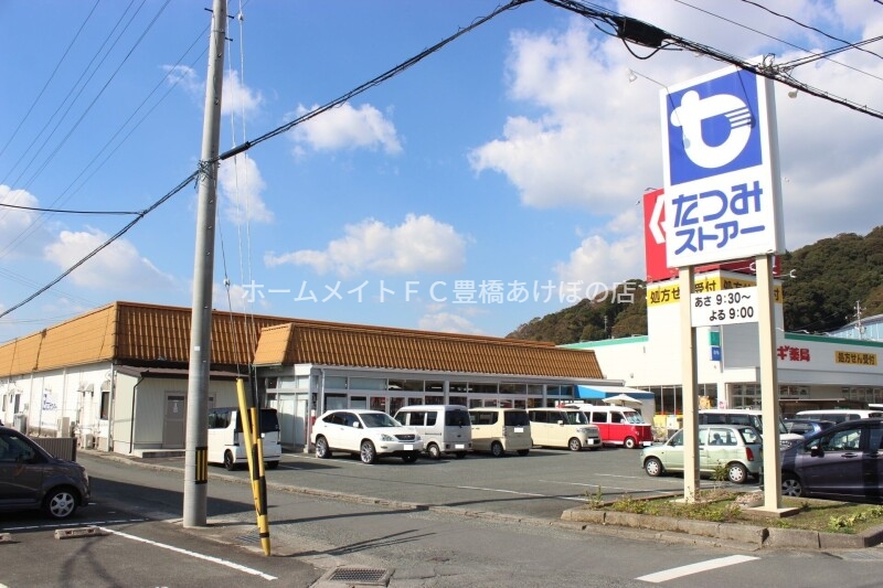 スーパー　たつみストアー御津店（スーパー）まで1178m