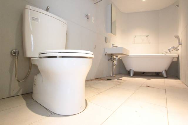 トイレ　便器でさえ風格を感じます