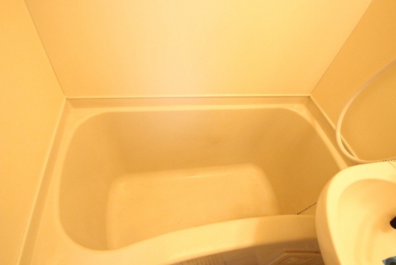 バス・シャワールーム　※別部屋の写真です