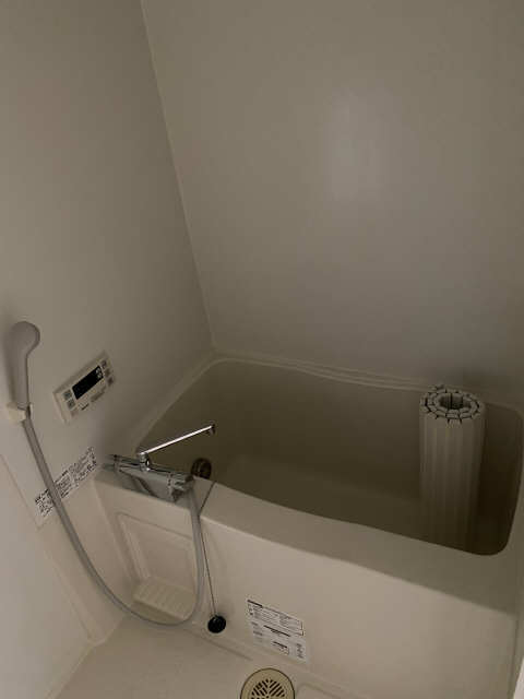 バス・シャワールーム　＊同物件別号室写真