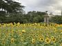 公園　鶴舞公園（公園）まで1095m