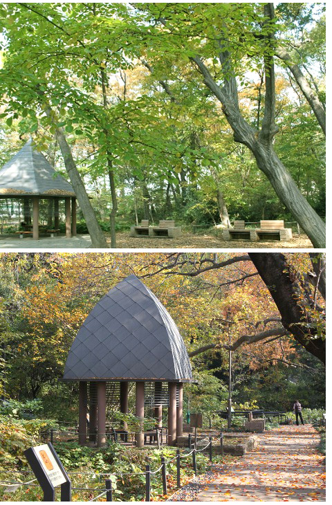 公園　区立三井の森公園（公園）まで900m