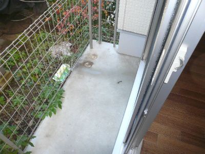 バルコニー　陽当たり良好なバルコニーです