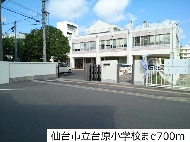 小学校　仙台市立台原小学校（小学校）まで700m