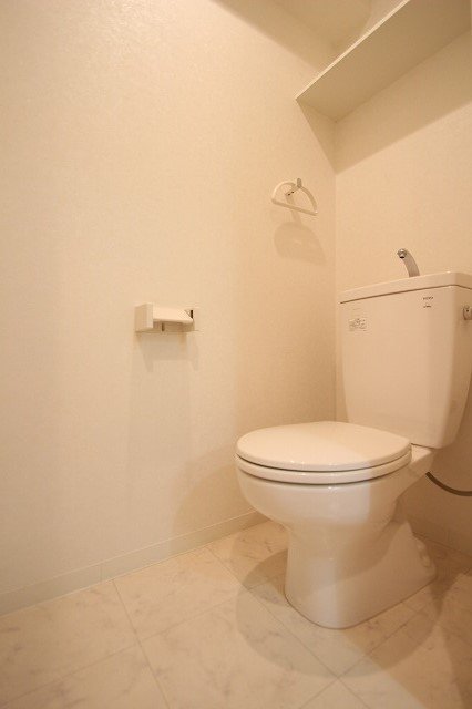 トイレ　同物件、別号室のものです。
