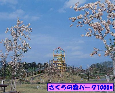 公園　さくらの森パーク（公園）まで1000m