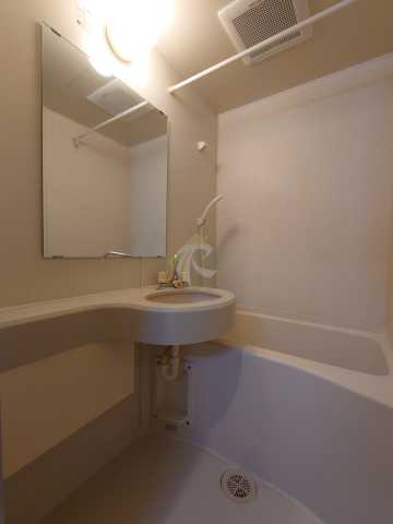 バス・シャワールーム　別部屋の画像になります。